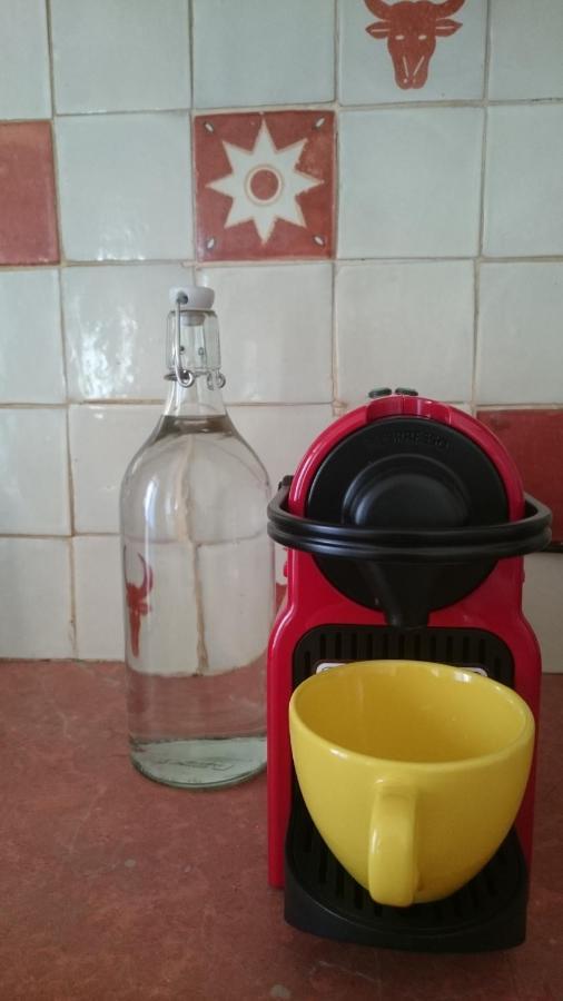 Appartamento Ceret Pyrenean Star Esterno foto